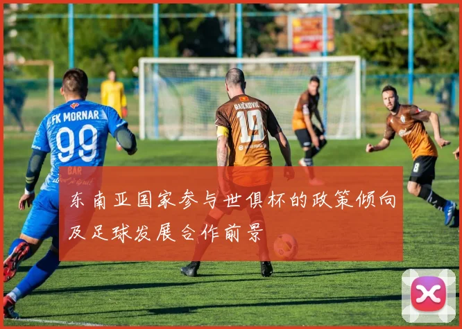 东南亚国家参与世俱杯的政策倾向及足球发展合作前景