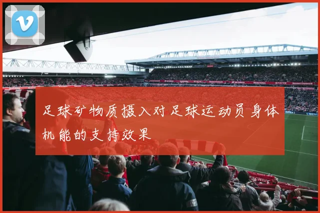 足球矿物质摄入对足球运动员身体机能的支持效果