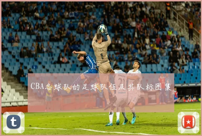 CBA各球队的足球队伍及其队标图集